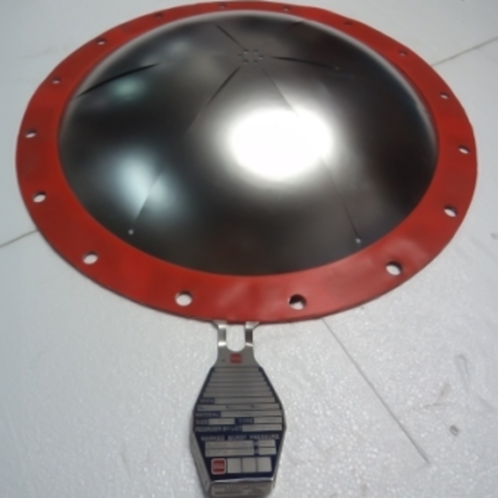 Safety Instruments - Load Arrester / Explosion Flap & Many More - Anish Pharma